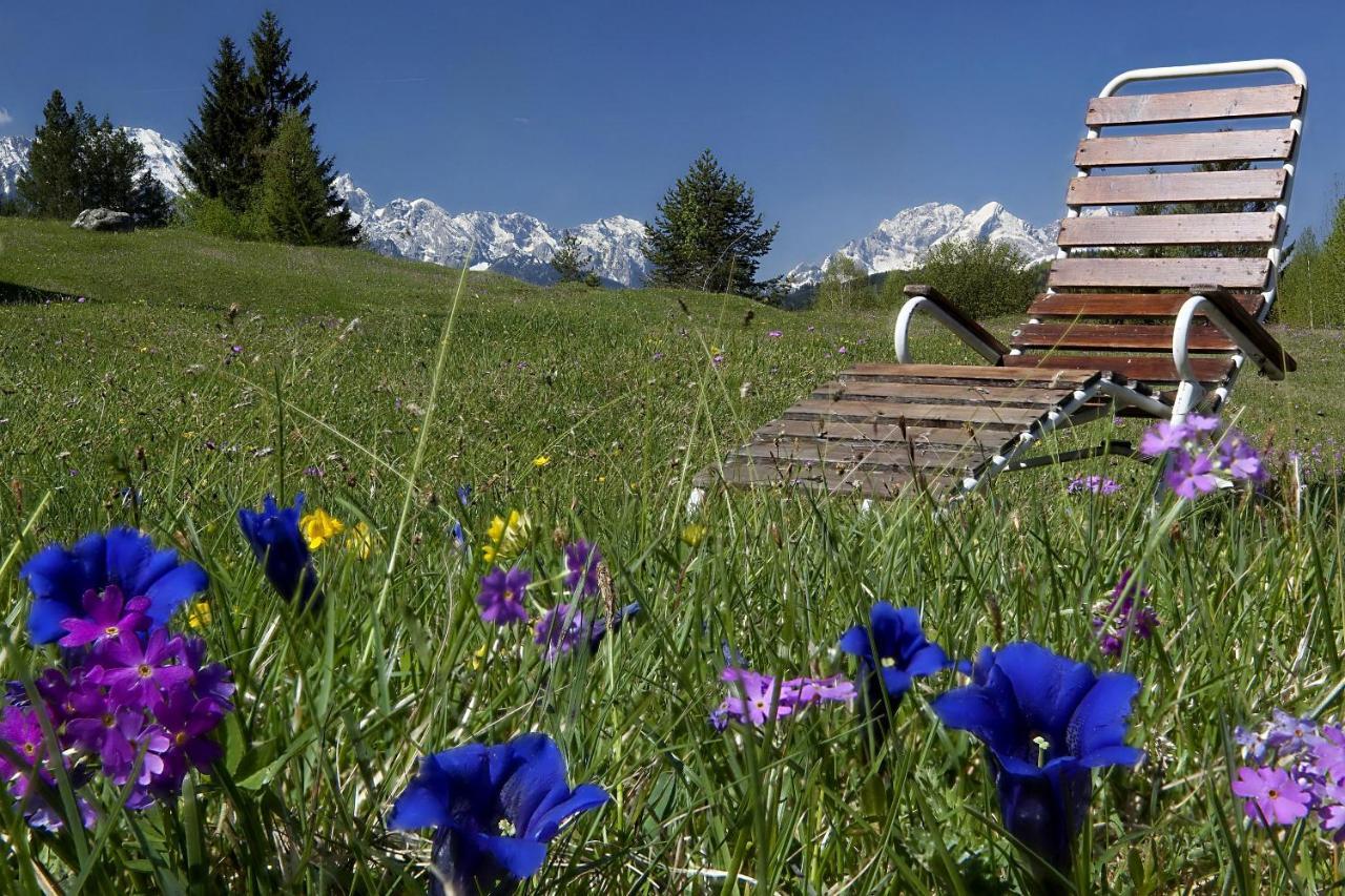 Gästehaus Alpina